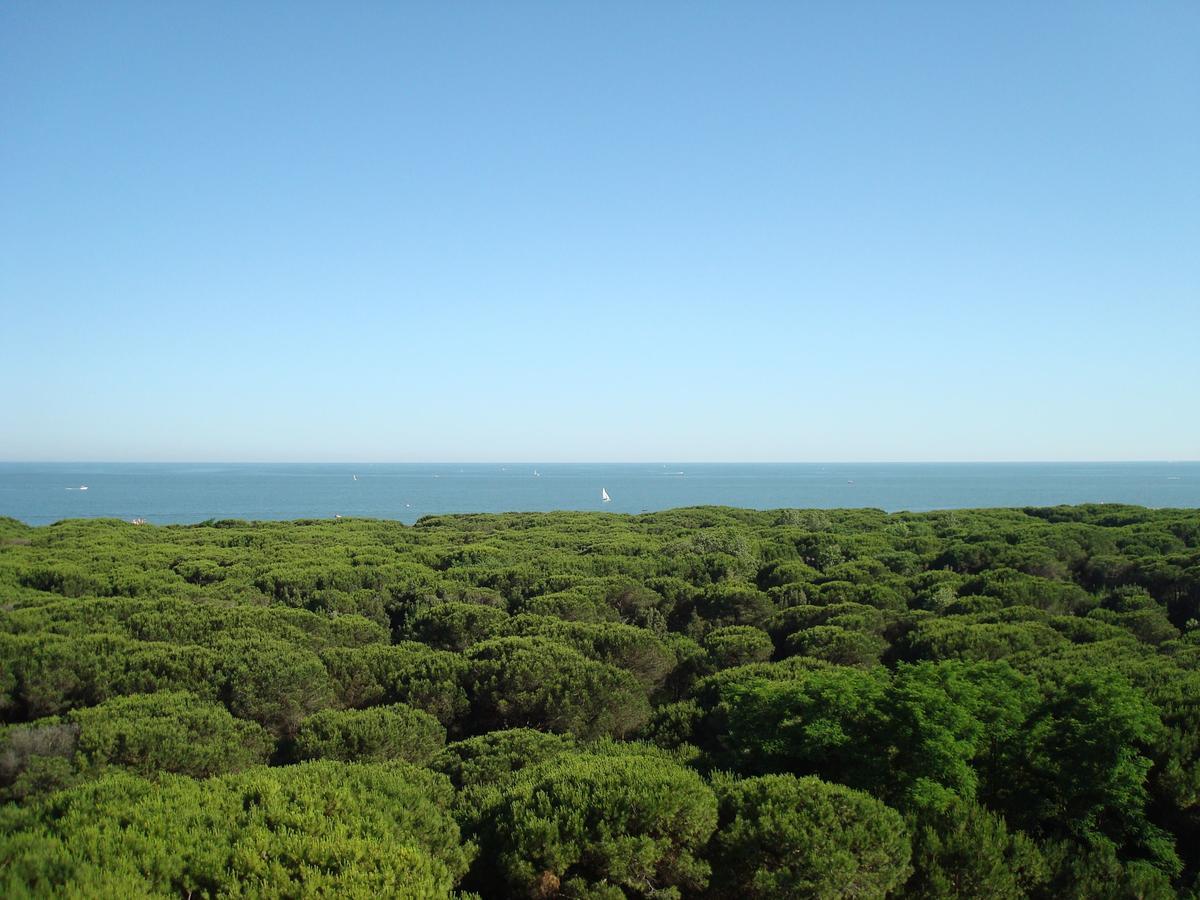 Hotel San Giorgio Milano Marittima Exteriér fotografie